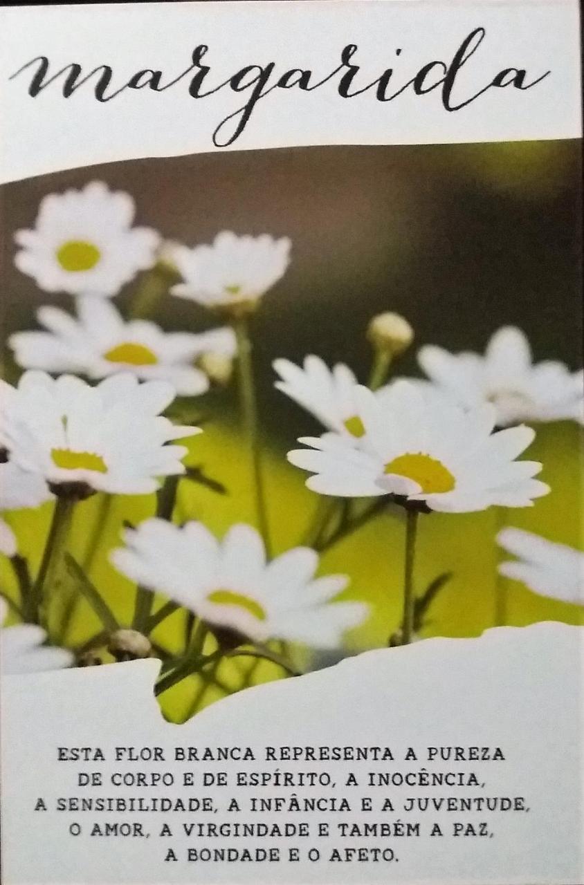Praia de Pipa Recanto Das Flores酒店 外观 照片
