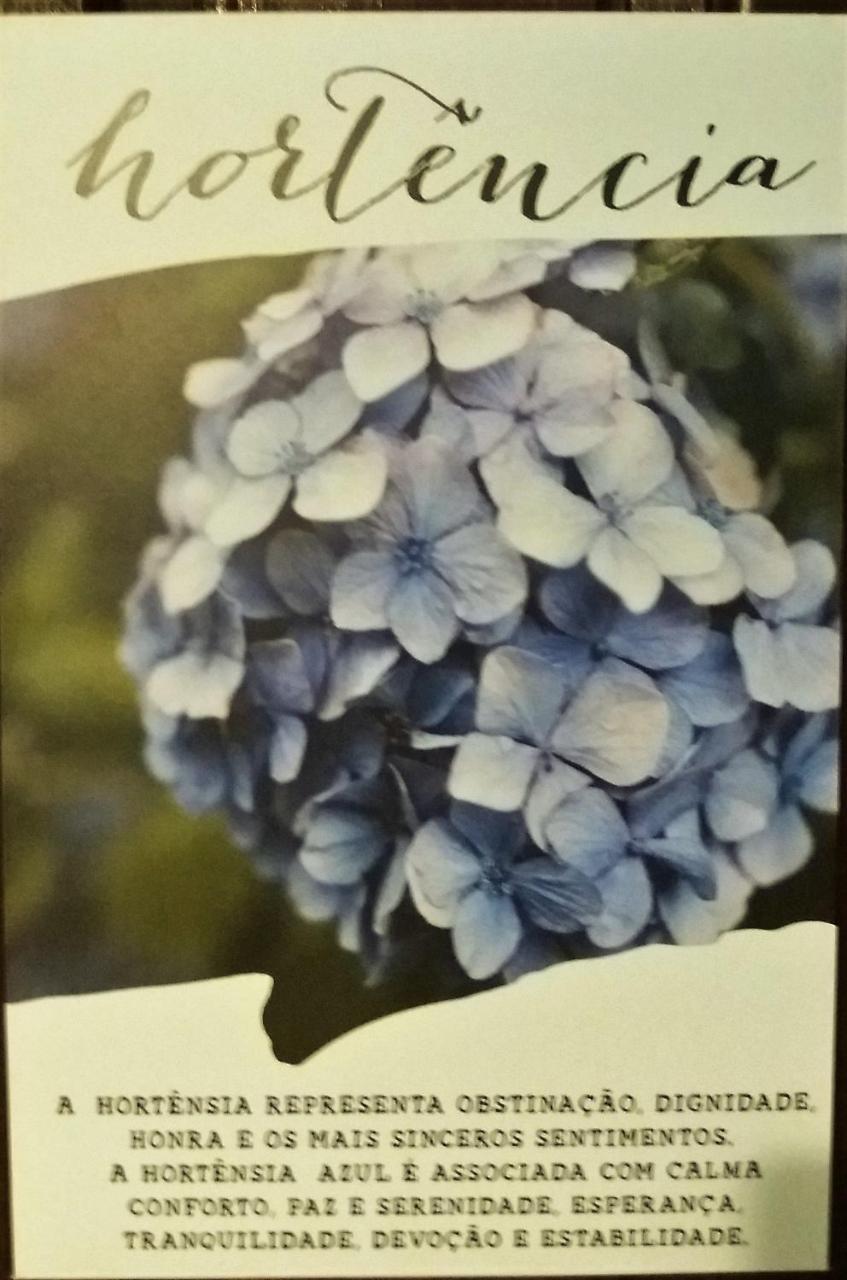 Praia de Pipa Recanto Das Flores酒店 外观 照片